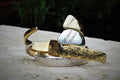 Bracelet Brillance